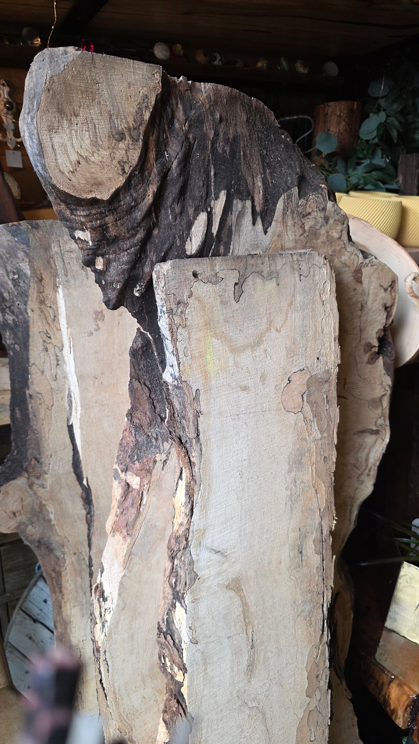 Slab érable local