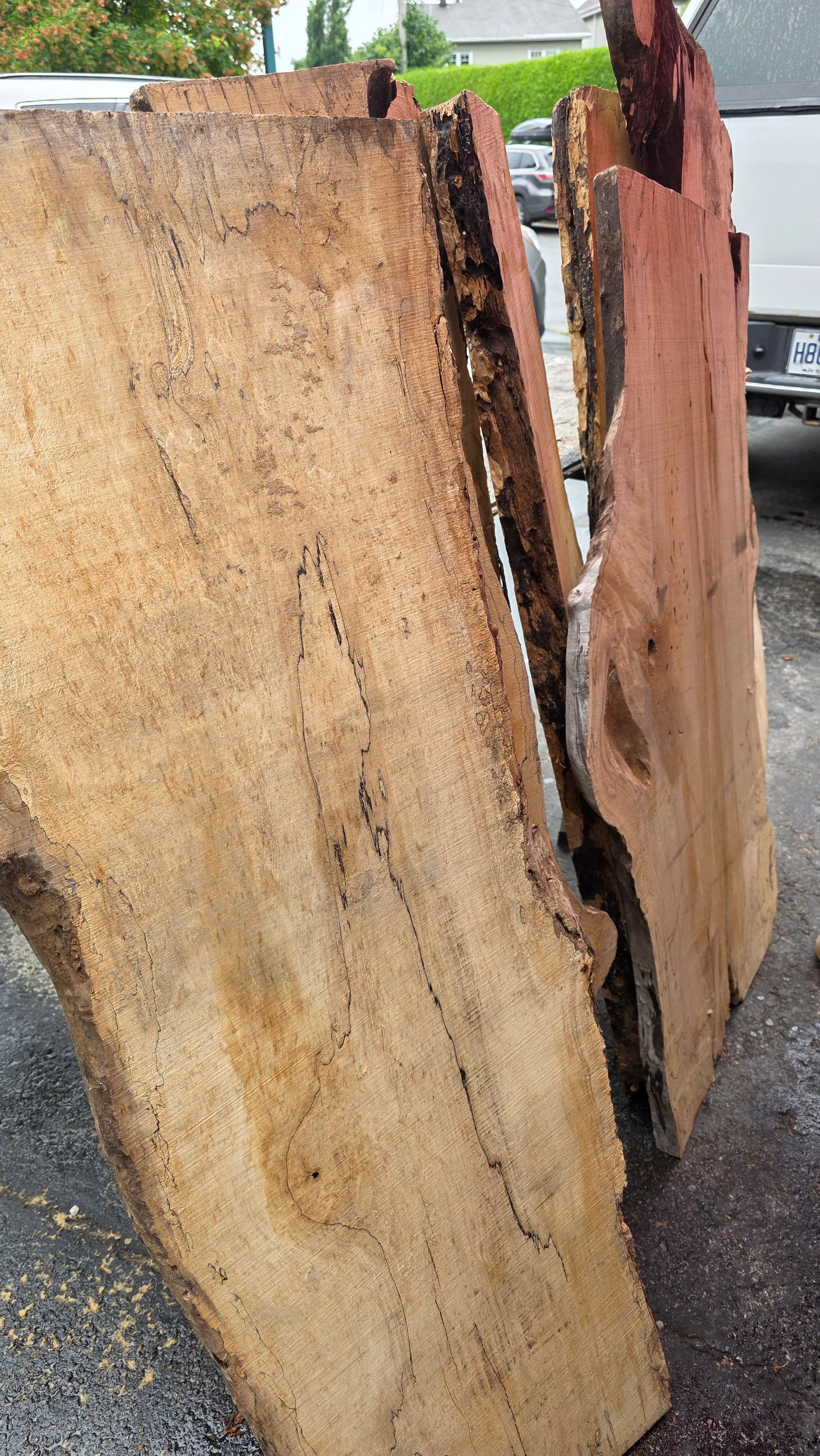Slab érable local