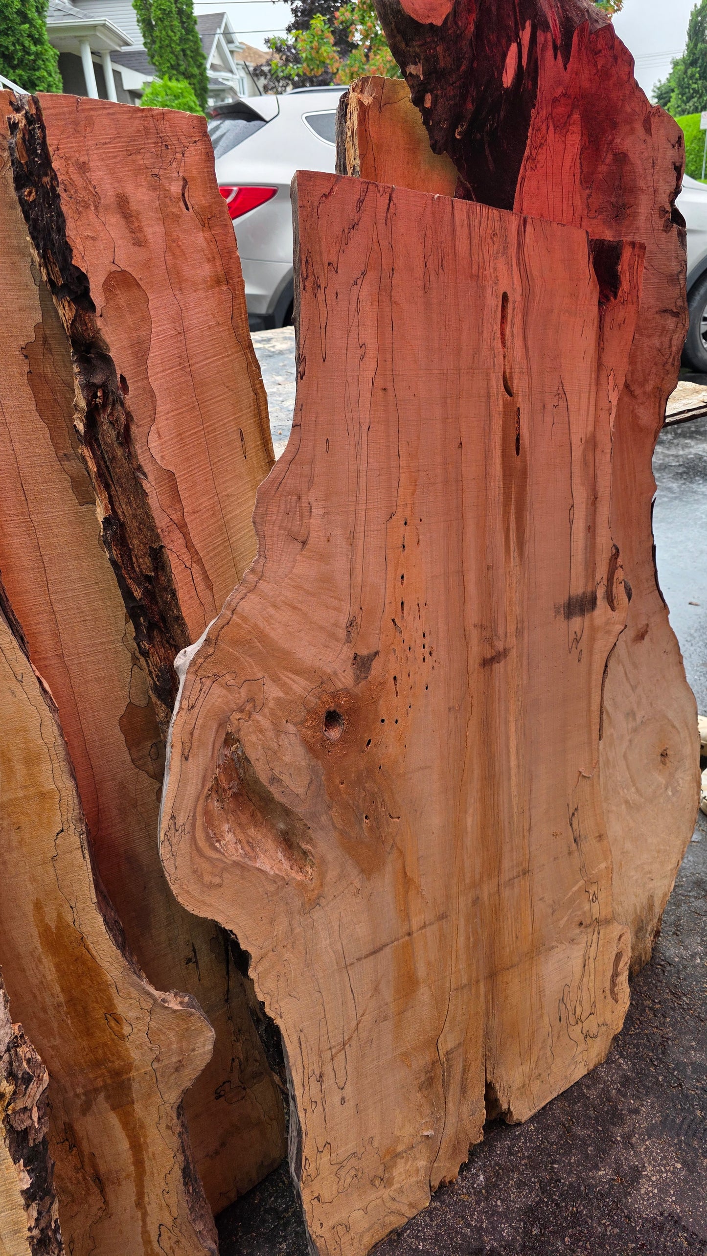 Slab érable local