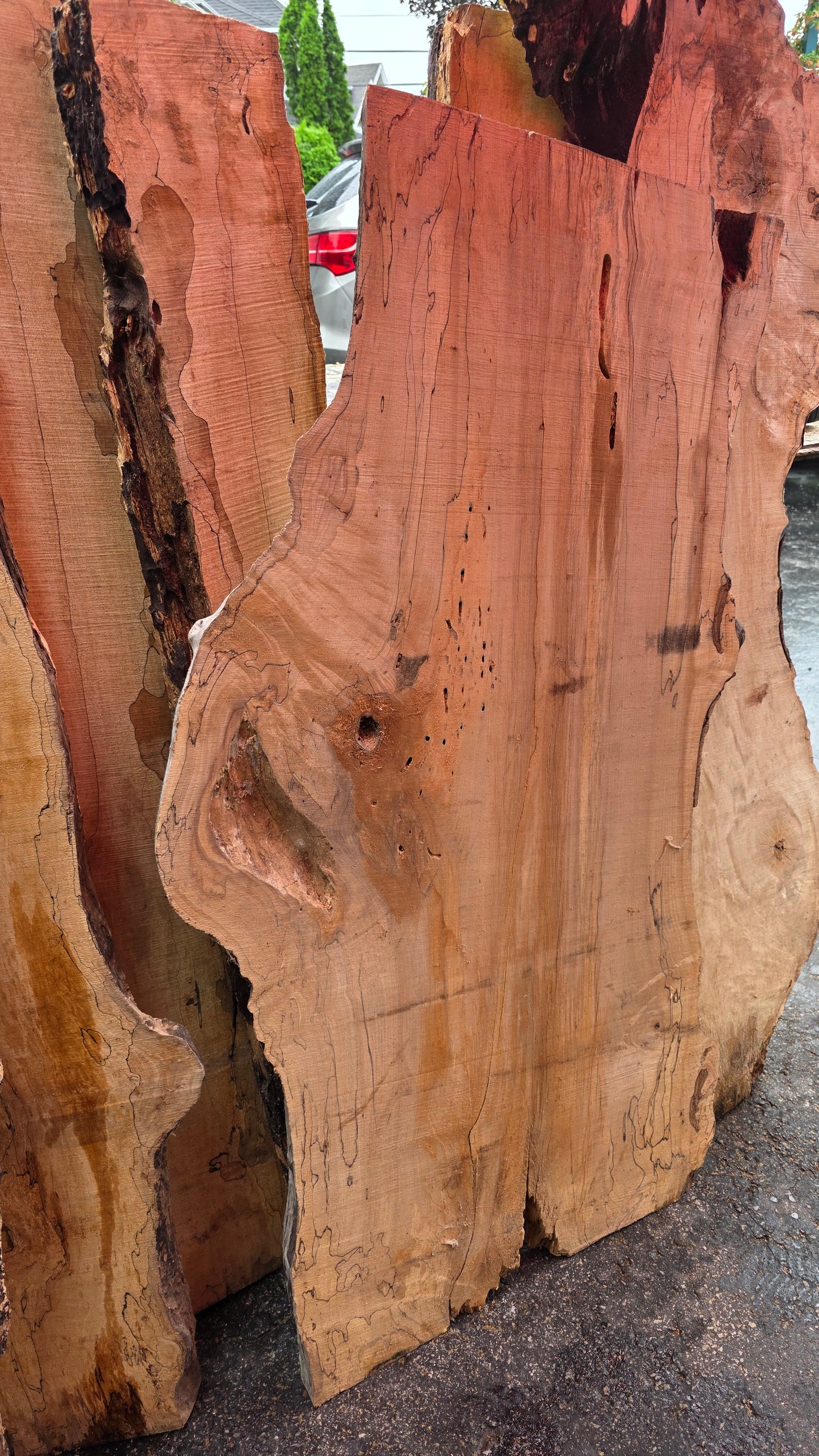 Slab érable local